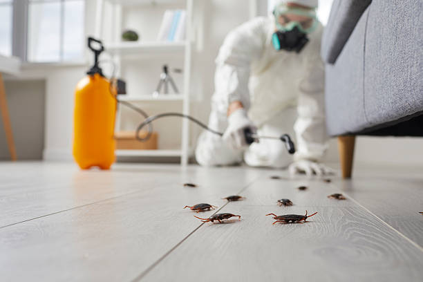 Commercial Kitchen Cockroach Control in Fairfield